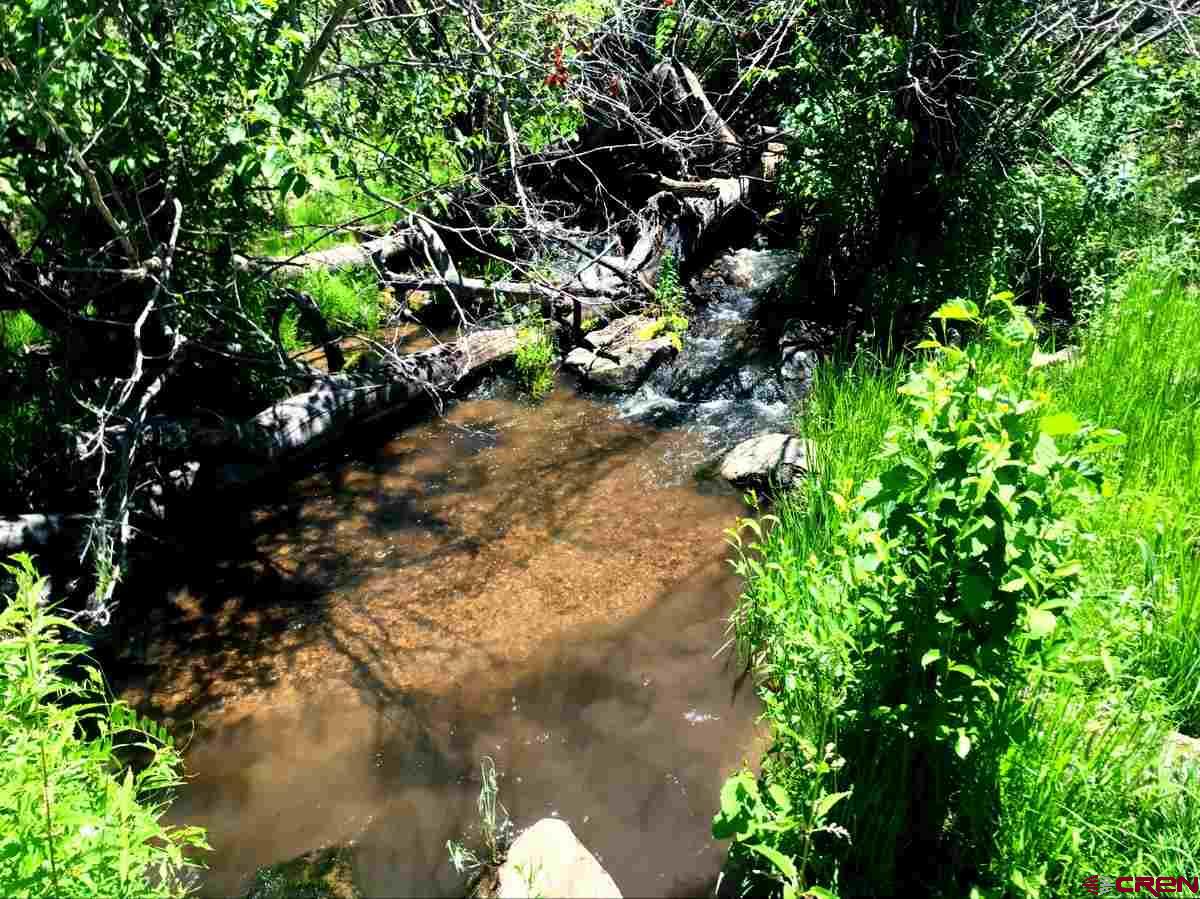 Tbd Shaw Creek Ranch Road Del Norte, CO 81132 - Photo 29 of 35