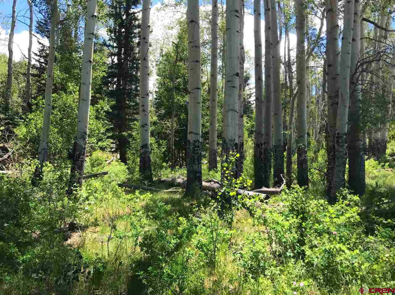Tbd Shaw Creek Ranch Road Del Norte, CO 81132 - Photo 30 of 35 a view of trees and bushes