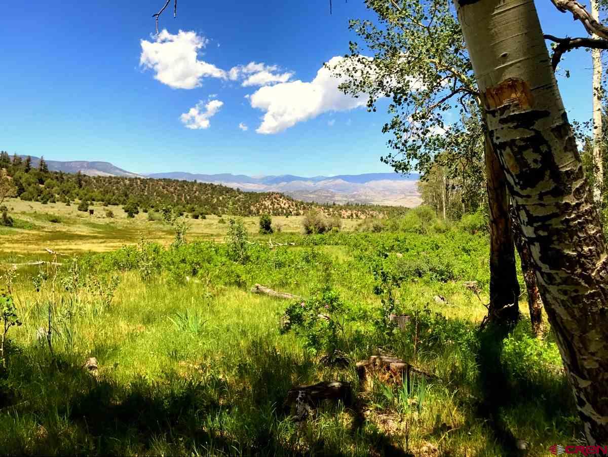 Tbd Shaw Creek Ranch Road Del Norte, CO 81132 - Photo 33 of 35 a view of a yard with an ocean view