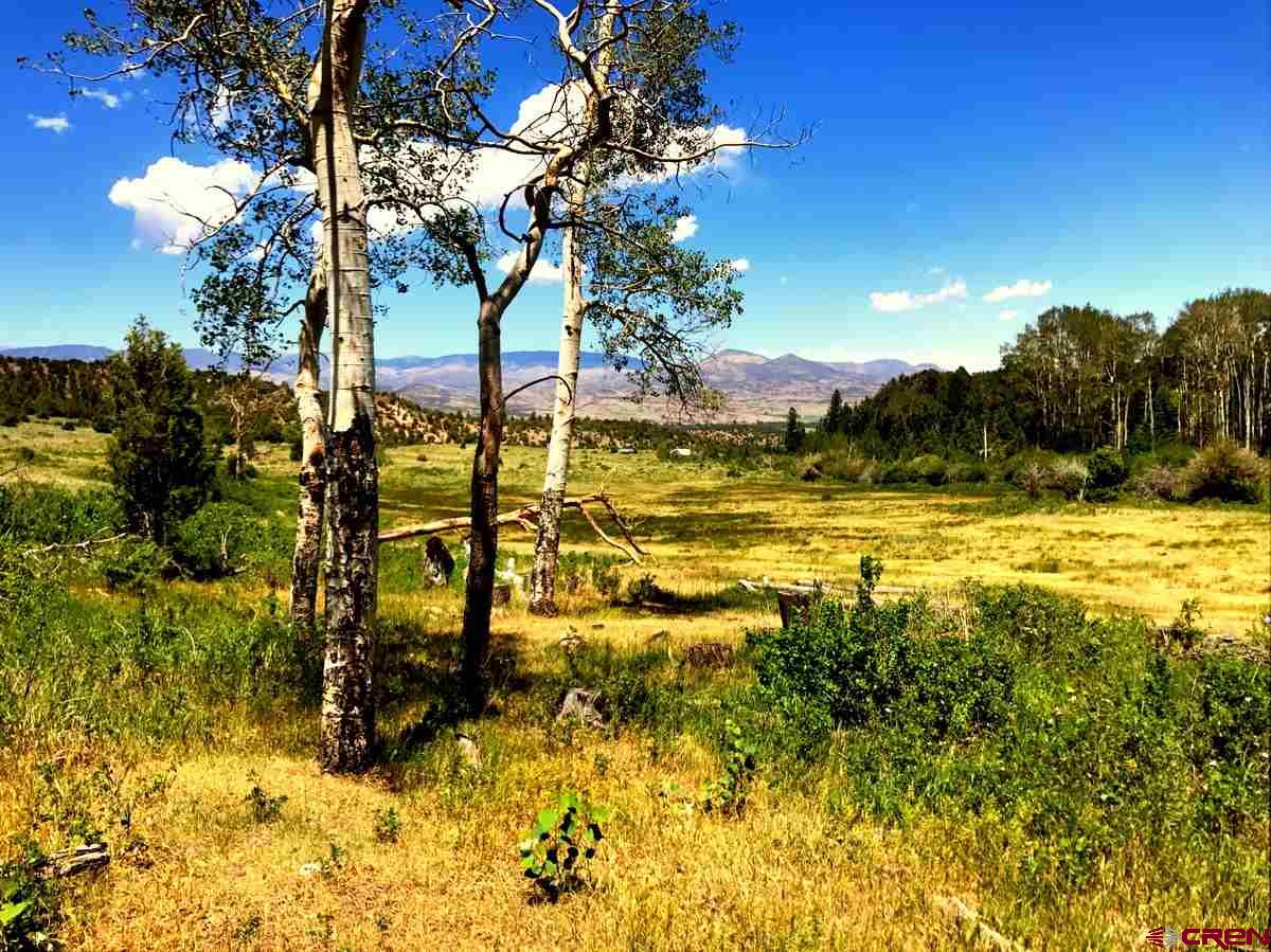 Tbd Shaw Creek Ranch Road Del Norte, CO 81132 - Photo 34 of 35 a view of an ocean view