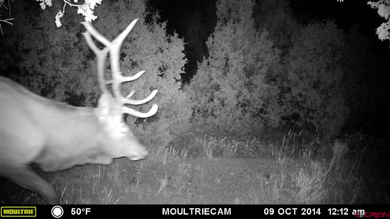 Tbd Shaw Creek Ranch Road Del Norte, CO 81132 - Photo 35 of 35