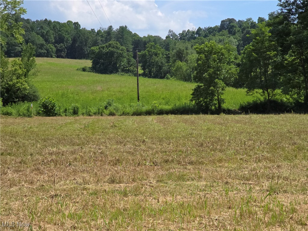13 Rd Stockport Oh 43787 Road Stockport, OH 43787 - Photo 7 of 15 View of wooded area