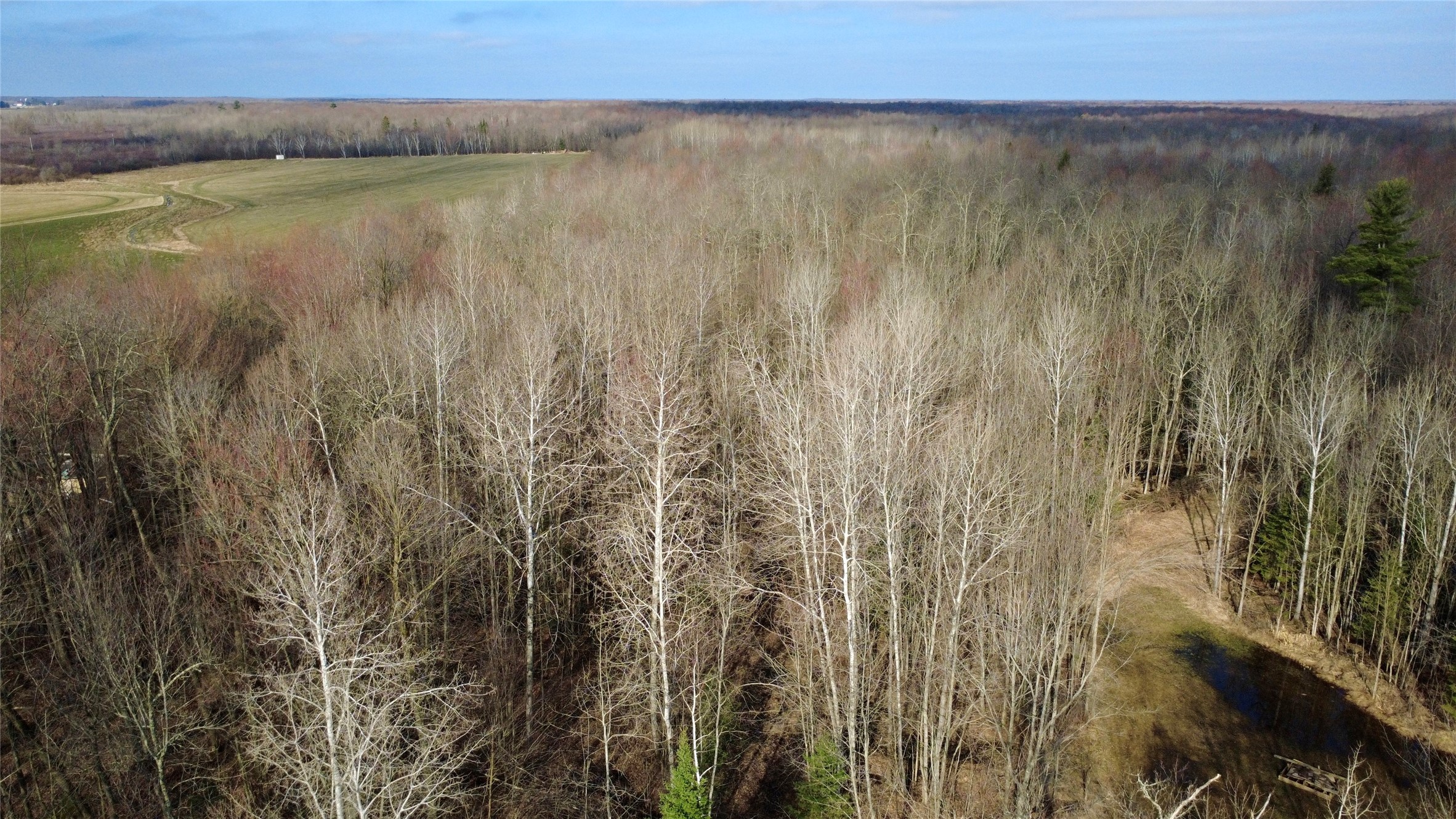 N2615 Highway 73 Sheldon, WI 54766 - Photo 6 of 26
