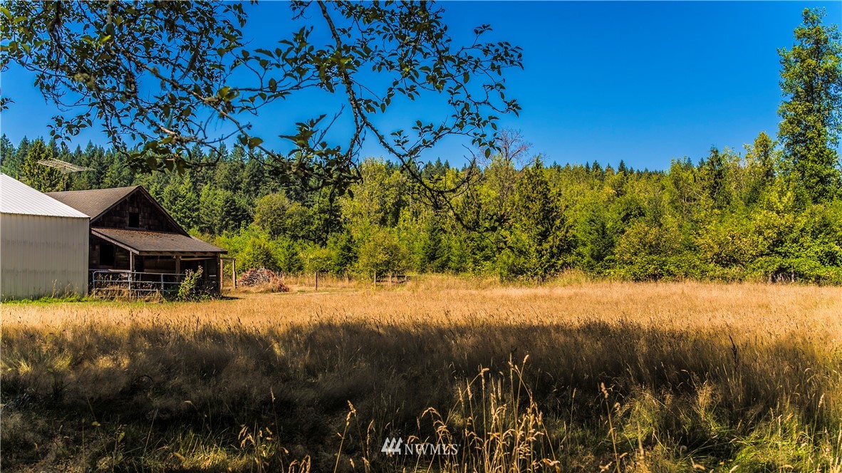 146 Mauerman Road North Chehalis, WA 98532 - Photo 11 of 40 a view of a house with a yard