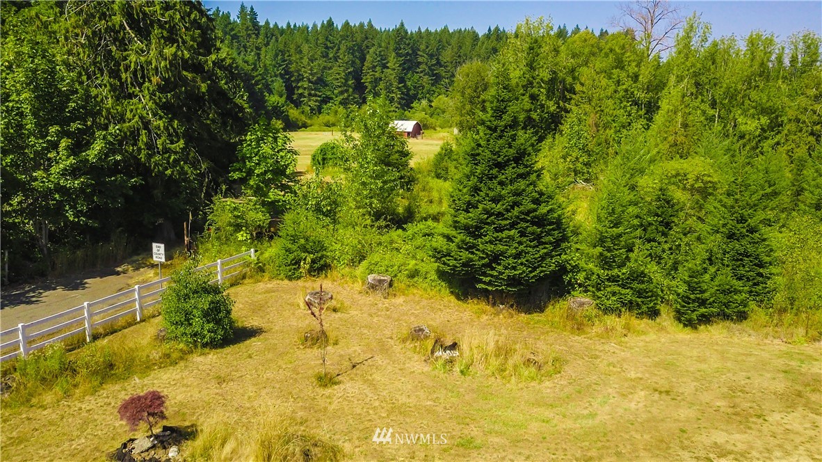 146 Mauerman Road North Chehalis, WA 98532 - Photo 4 of 40 a view of a yard with an trees