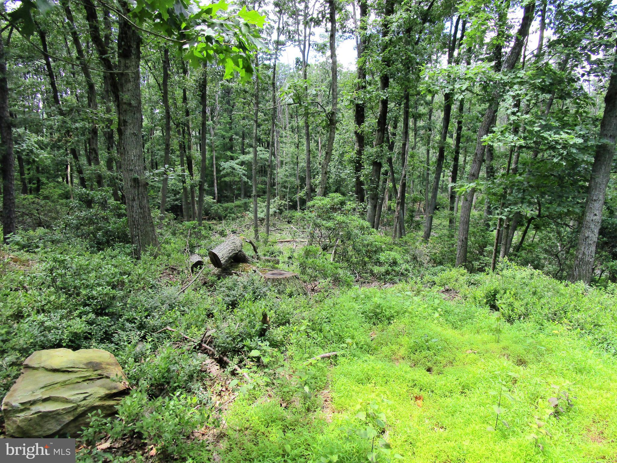 8062 Gnatstown Road Hanover, PA 17331 - Photo 3 of 13