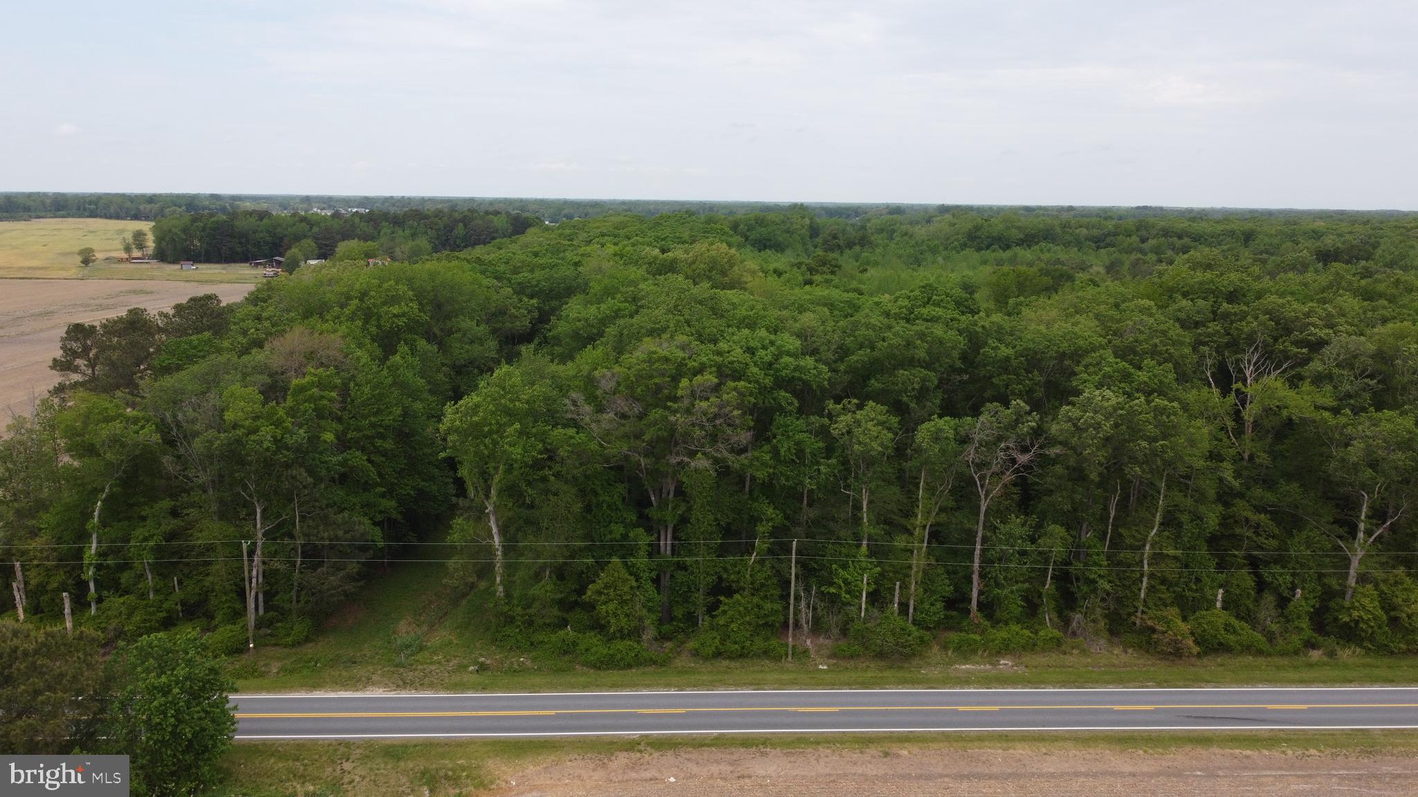 Lot 12 Cedar Grove Harrington, DE 19952 - Photo 3 of 8 a view of a terrace