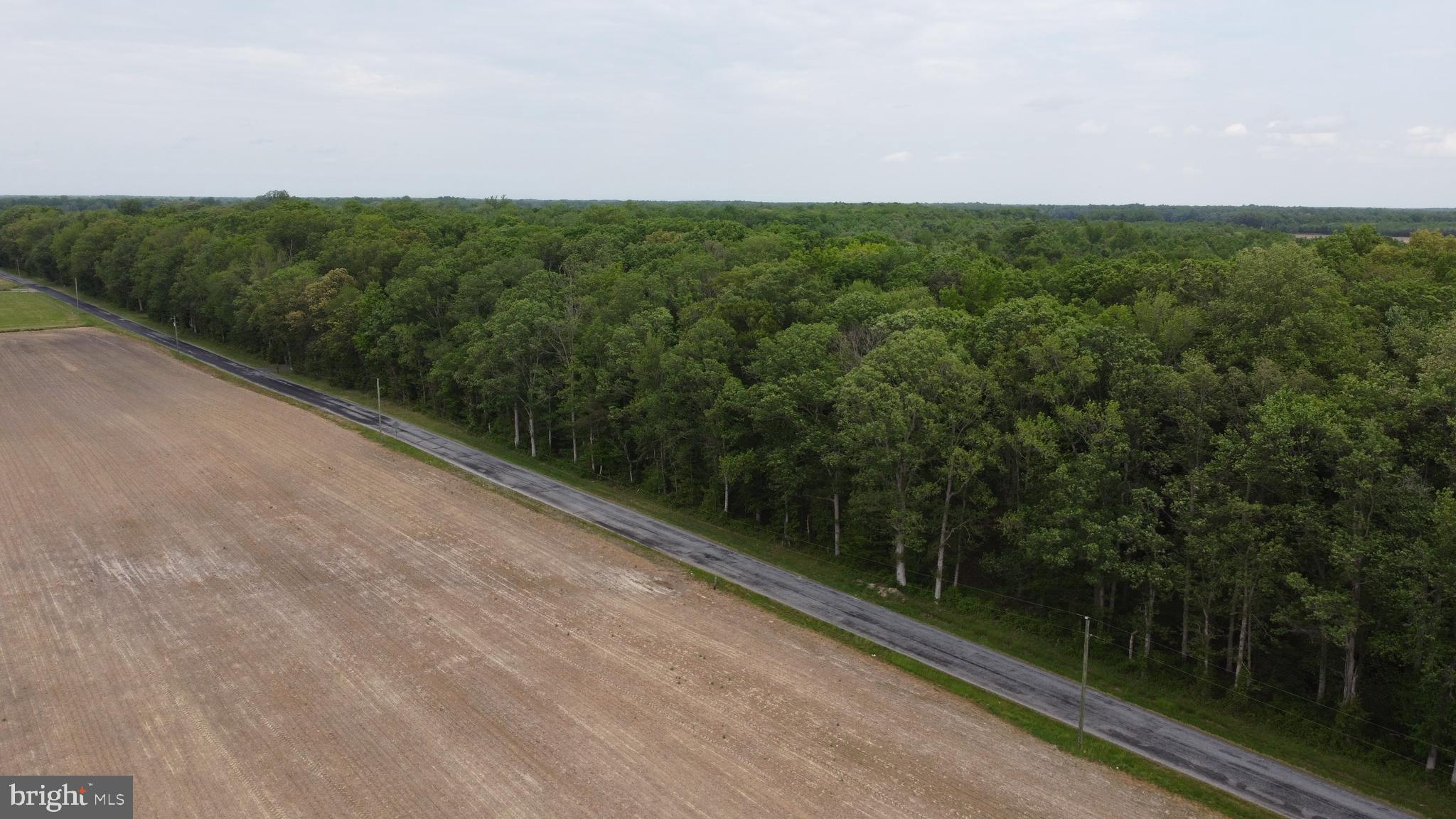 Lot 12 Cedar Grove Harrington, DE 19952 - Photo 7 of 8 a view of a field