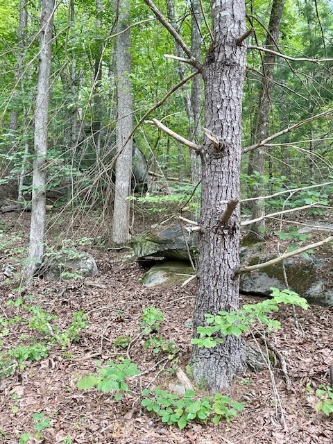 11 Lonesome Pine Road Murphy, NC 28906 - Photo 4 of 7