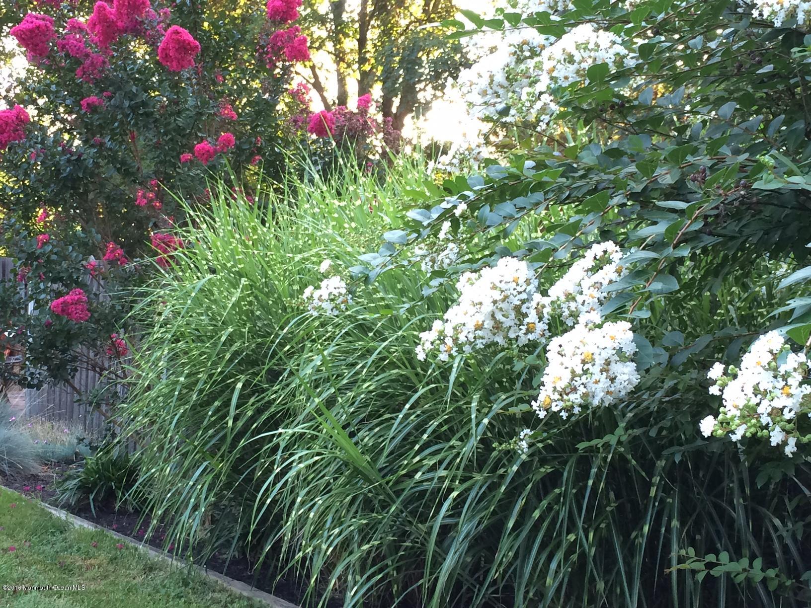 110 Rivers Edge Drive Little Silver, NJ 07739 - Photo 33 of 35 IMG_0782