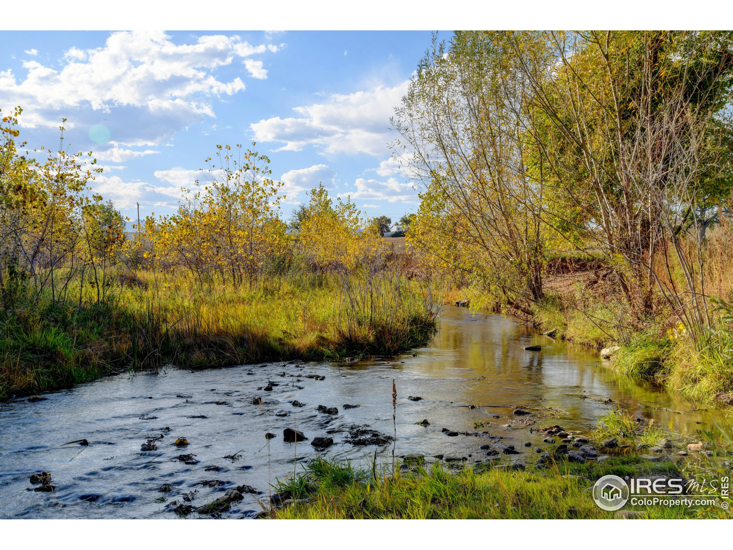 Rodney Lane Berthoud, CO 80513 - Photo 11 of 16
