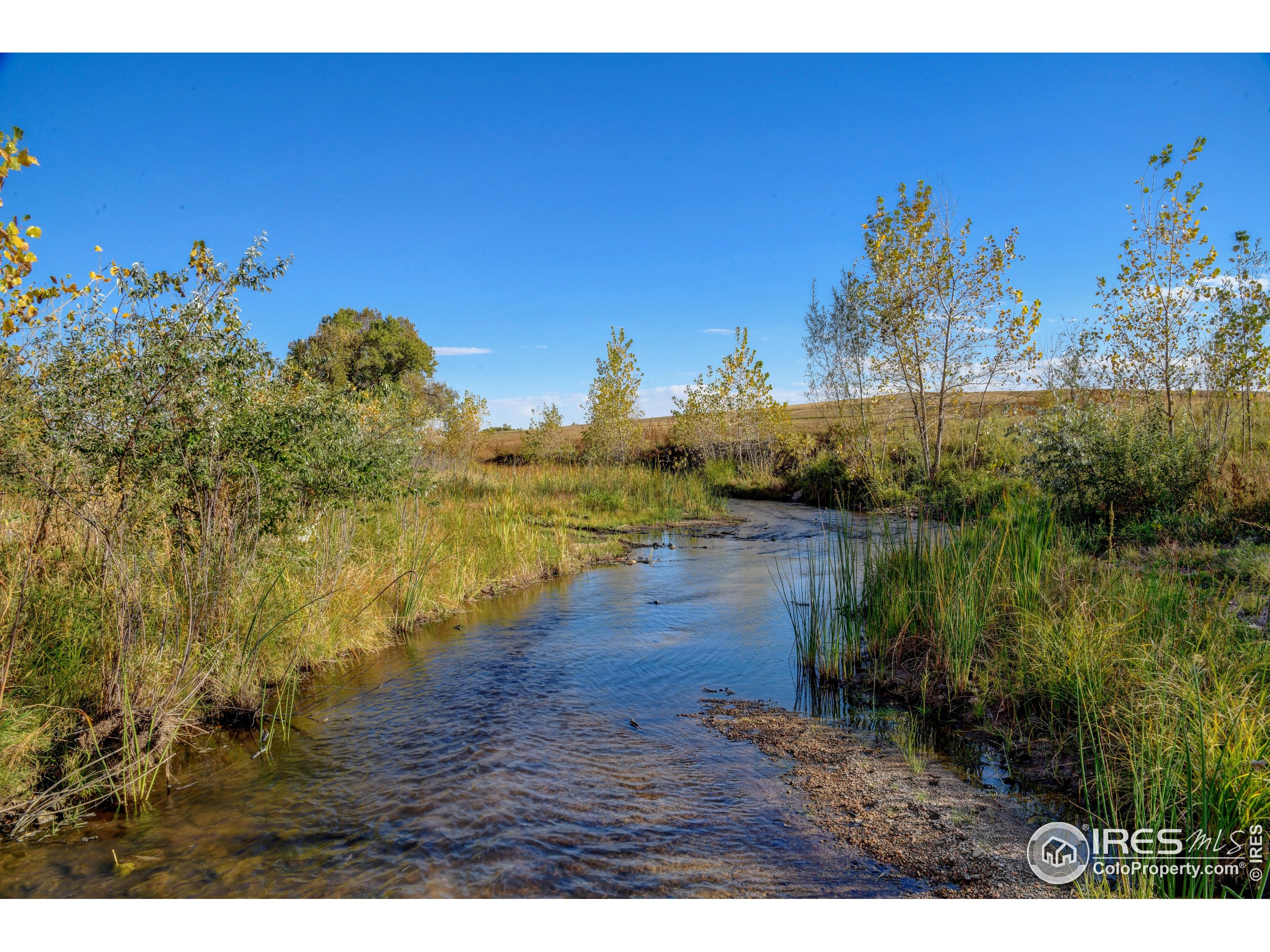 Rodney Lane Berthoud, CO 80513 - Photo 9 of 16