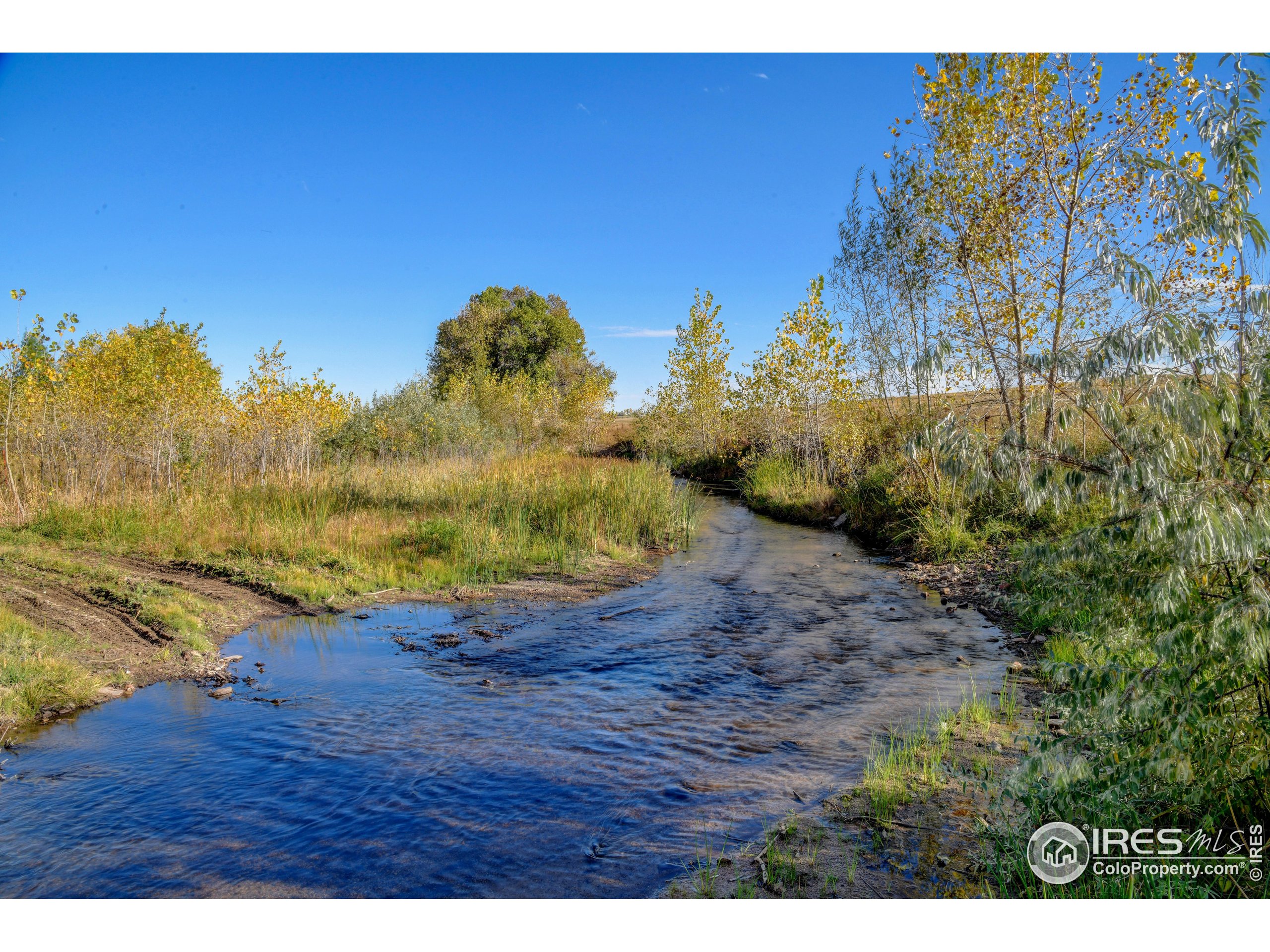Rodney Lane Berthoud, CO 80513 - Photo 10 of 16