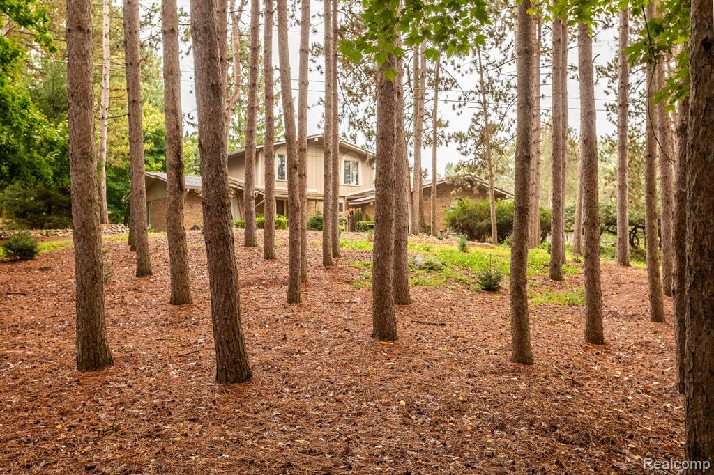 8677 Knox Road Clarkston, MI 48348 - Photo 5 of 59