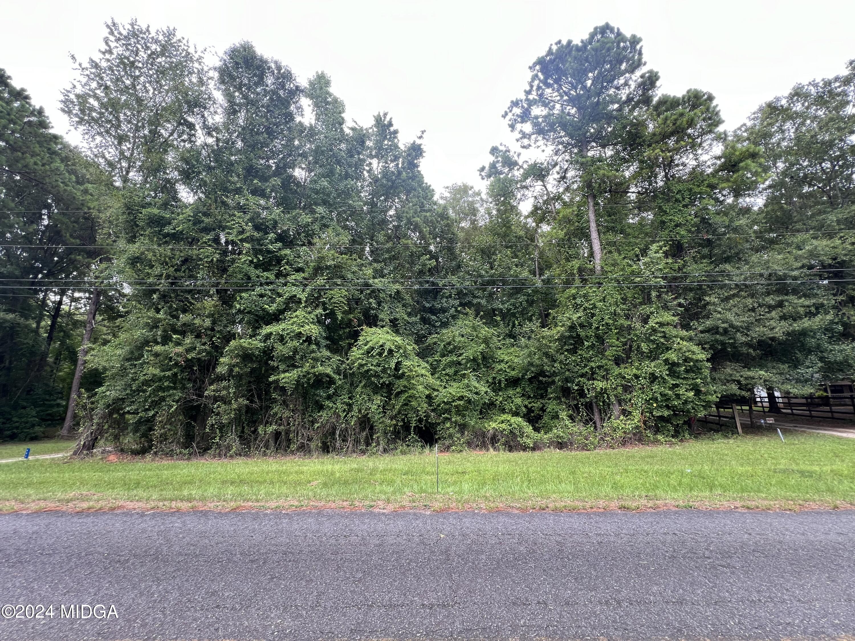 Lot 20 Sanders Road Macon, GA 31210 - Photo 2 of 2 a green field covered with trees