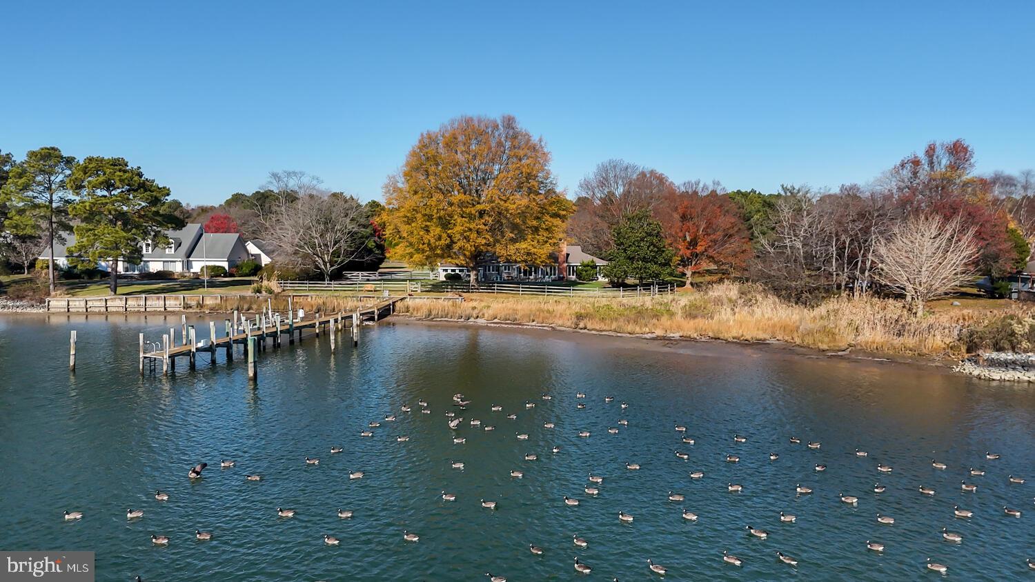 26675 North Point Road Easton, MD 21601 - Photo 5 of 68 Gallery Image 5