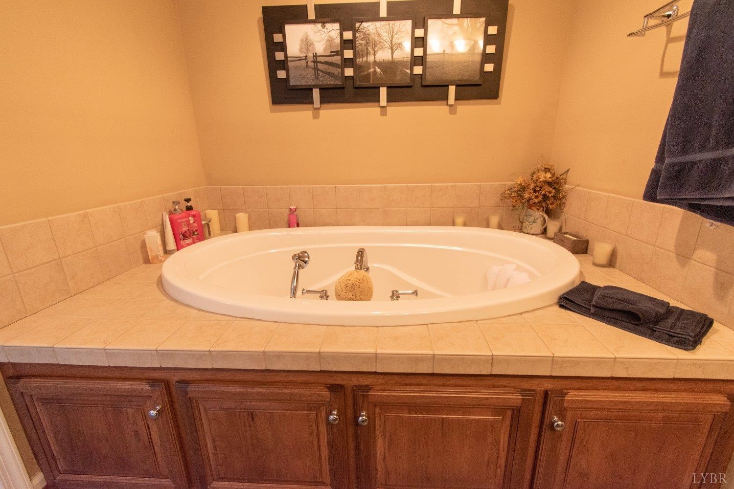 1041 Riley Run Road Forest, VA 24551 - Photo 22 of 68 Gallery Image 22