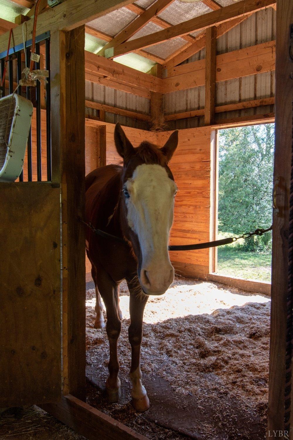 1041 Riley Run Road Forest, VA 24551 - Photo 50 of 68 Gallery Image 50