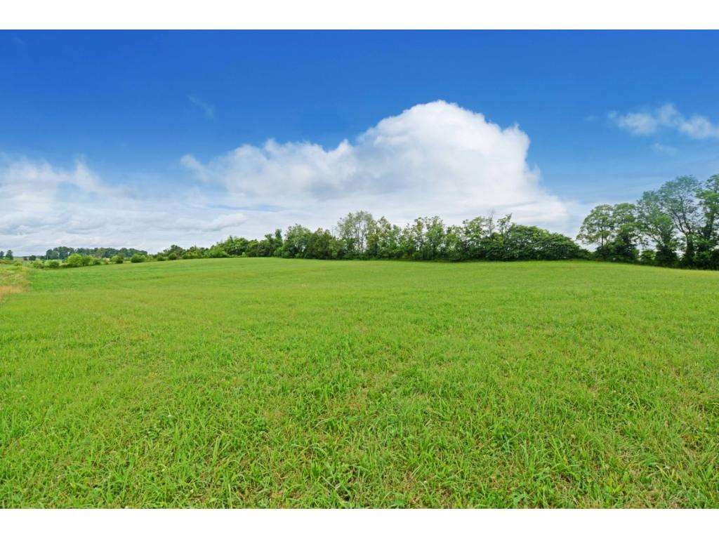 0 Rheatown Road, Unit 9 10 11 Chuckey, TN 37641 - Photo 12 of 14 Photo 12
