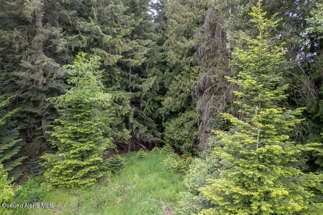 $499,000 | 5 St Maries Id 83861, St. Maries, ID 83861