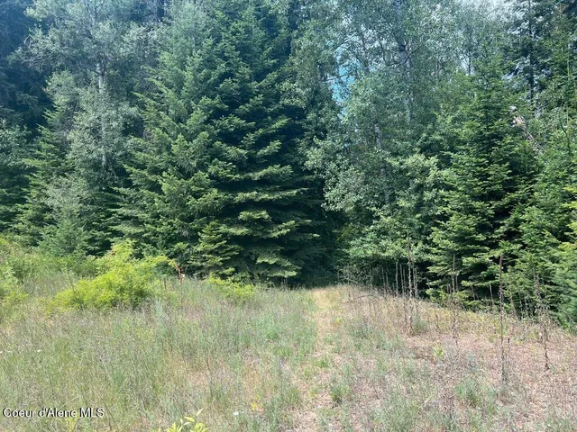 $499,000 | 5 St Maries Id 83861, St. Maries, ID 83861