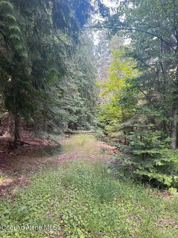 $499,000 | 5 St Maries Id 83861, St. Maries, ID 83861