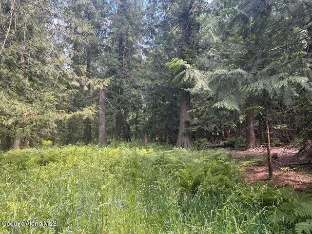 $499,000 | 5 St Maries Id 83861, St. Maries, ID 83861