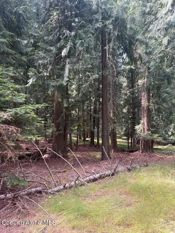 $499,000 | 5 St Maries Id 83861, St. Maries, ID 83861