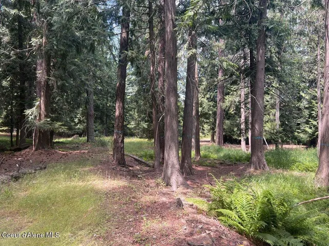 $499,000 | 5 St Maries Id 83861, St. Maries, ID 83861