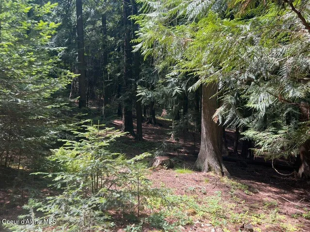 $499,000 | 5 St Maries Id 83861, St. Maries, ID 83861