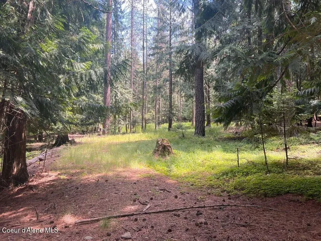 $499,000 | 5 St Maries Id 83861, St. Maries, ID 83861