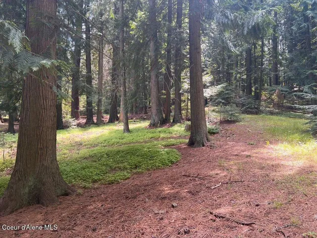 $499,000 | 5 St Maries Id 83861, St. Maries, ID 83861