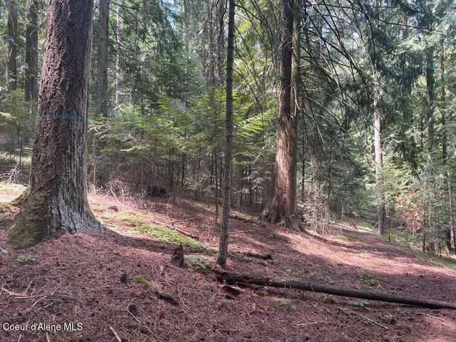 $499,000 | 5 St Maries Id 83861, St. Maries, ID 83861