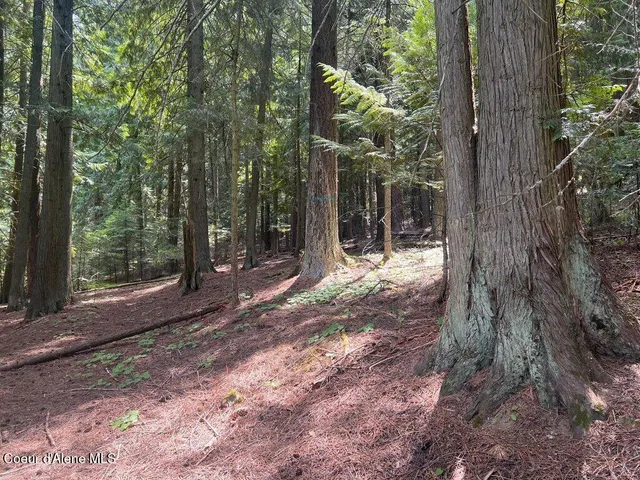 $499,000 | 5 St Maries Id 83861, St. Maries, ID 83861