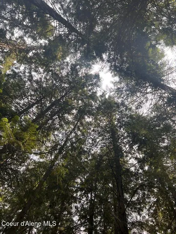 $499,000 | 5 St Maries Id 83861, St. Maries, ID 83861