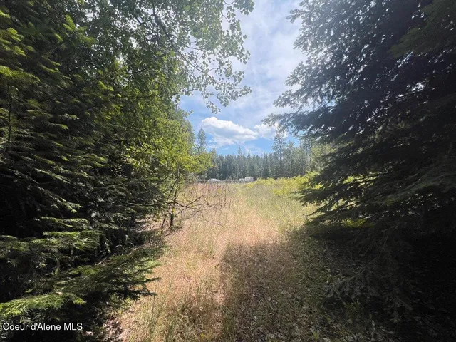 $499,000 | 5 St Maries Id 83861, St. Maries, ID 83861