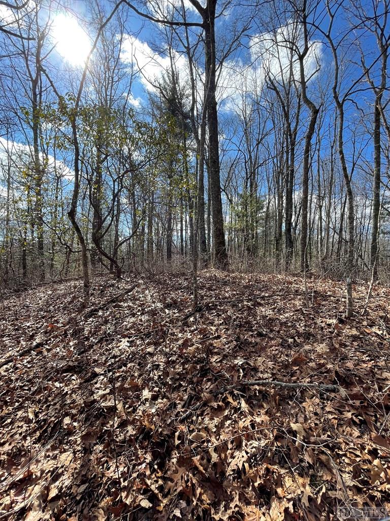 Lot 43 Laurel Falls Road Franklin, NC 28734 - Photo 2 of 6 Gallery Image 2