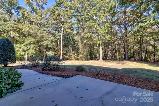 a view of backyard with green space