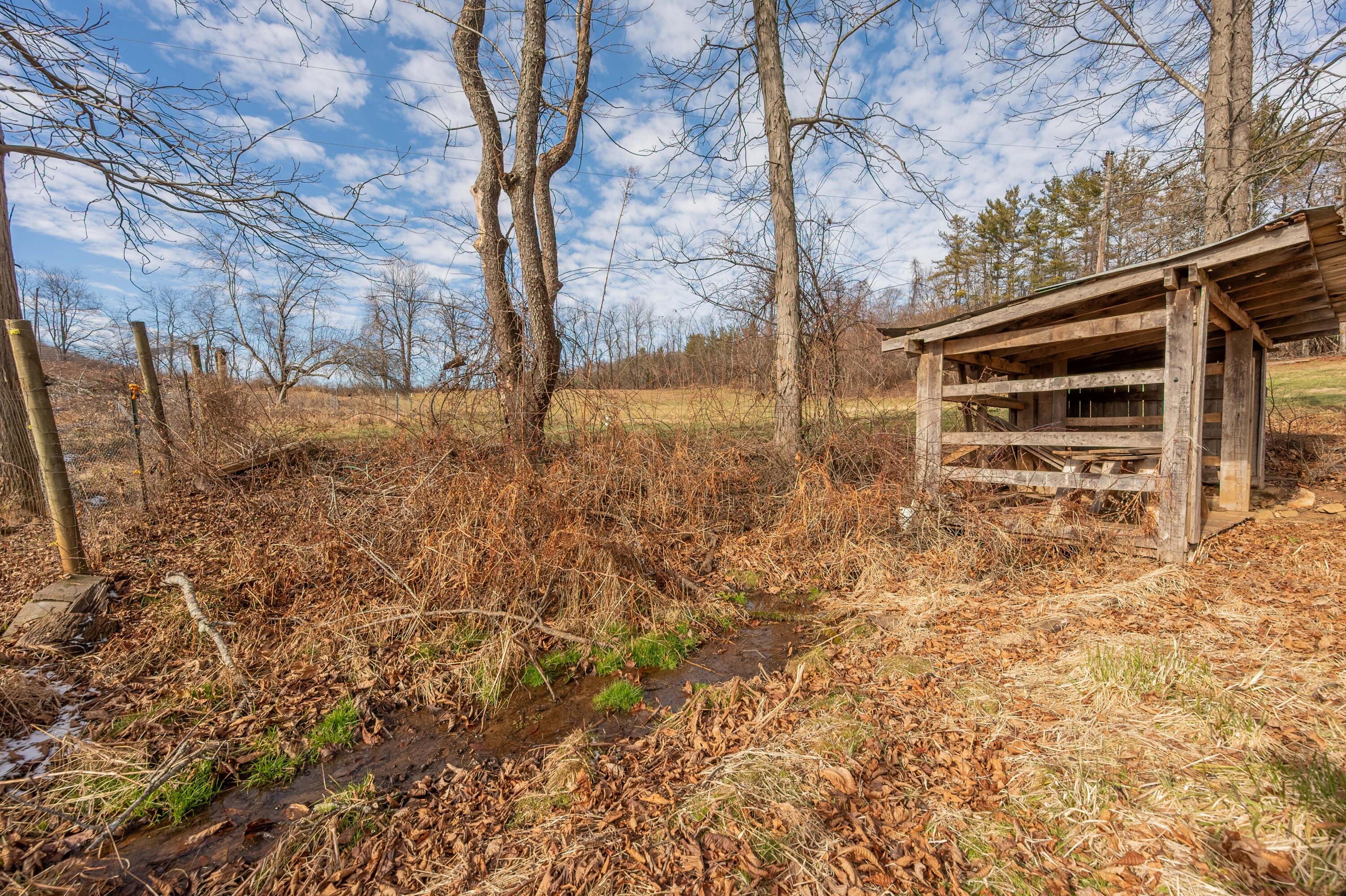 1133 Countyline Church Road Southeast Floyd, VA 24091 - Photo 74 of 97 a backyard of a house with lots of green space