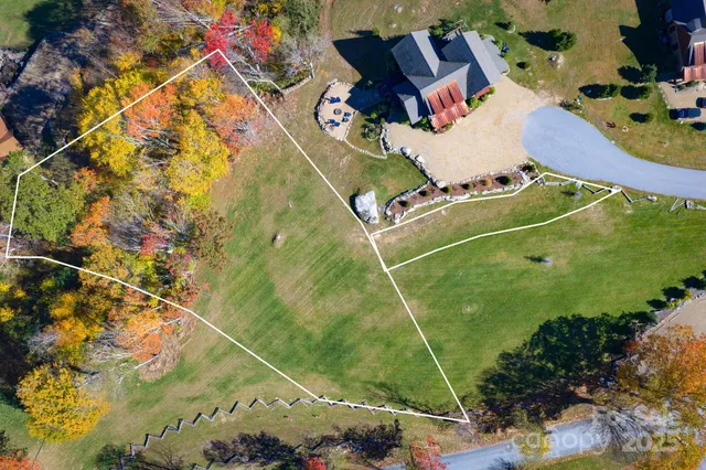an aerial view of a tennis ground and a large tree