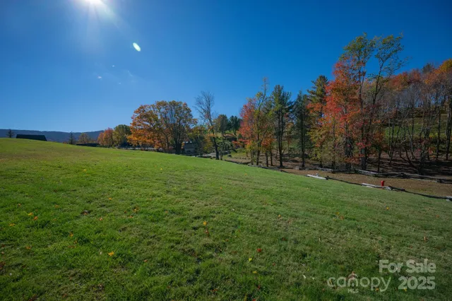 a view of a field of grass and trees