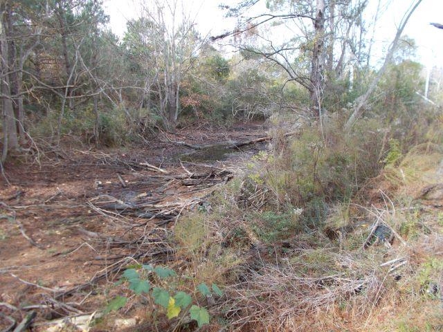 12230 Bay Road West Foley, AL 36535 - Photo 14 of 26