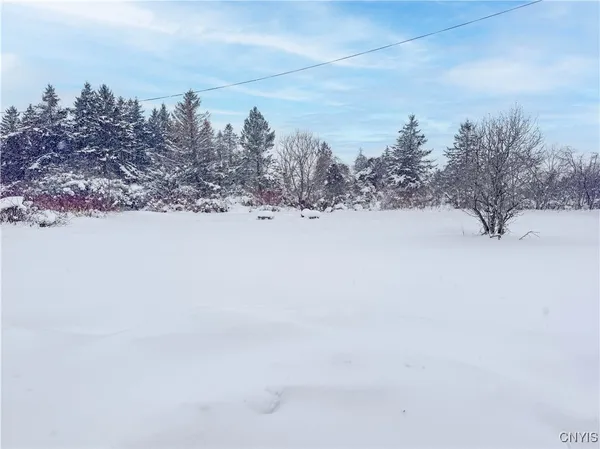 $17,500 | 23983 Fire Road 31, Lyme, NY 13693