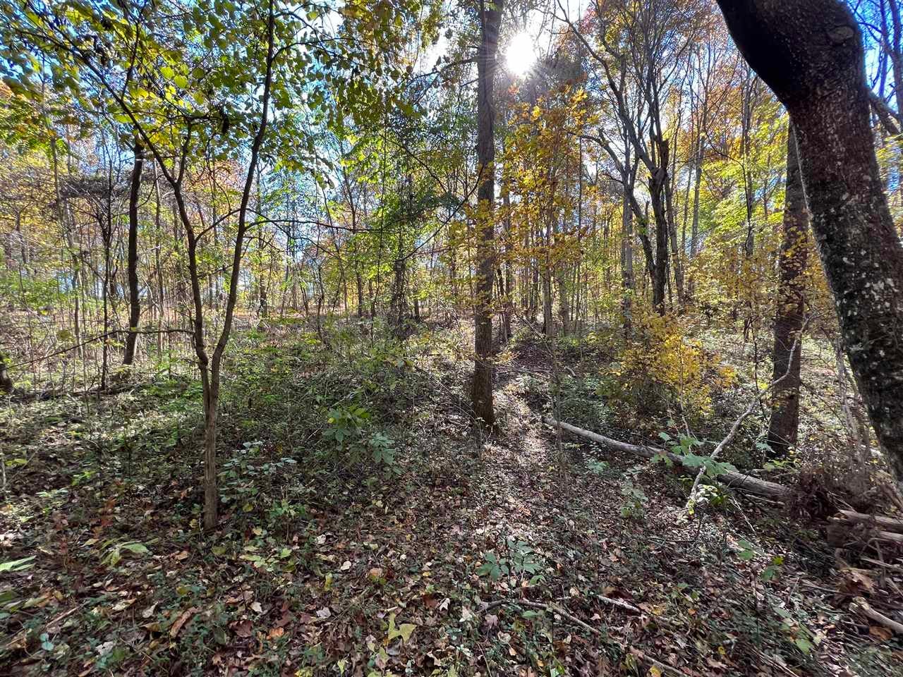 4.847-acres Hade Bell Road Scottsville, KY 42164 - Photo 2 of 3 Gallery Image 2