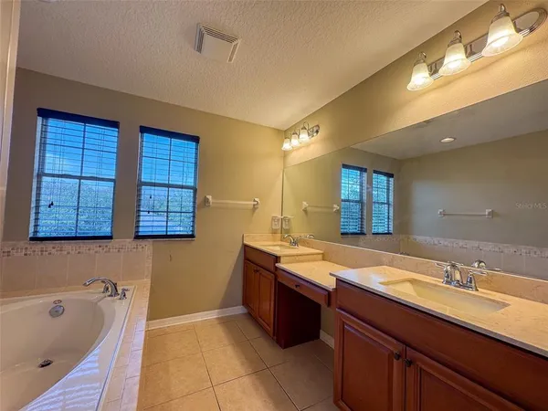 a bathroom with a tub double vanity sink and a mirror