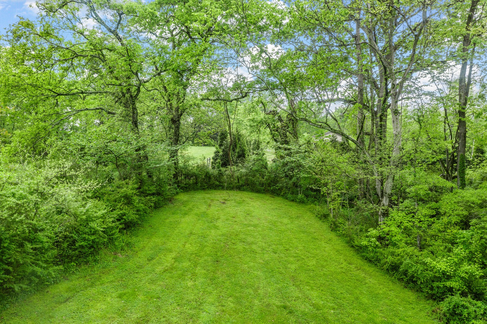 6691 Eudailey-Covington Road College Grove, TN 37046 - Photo 39 of 45 Gallery Image 39