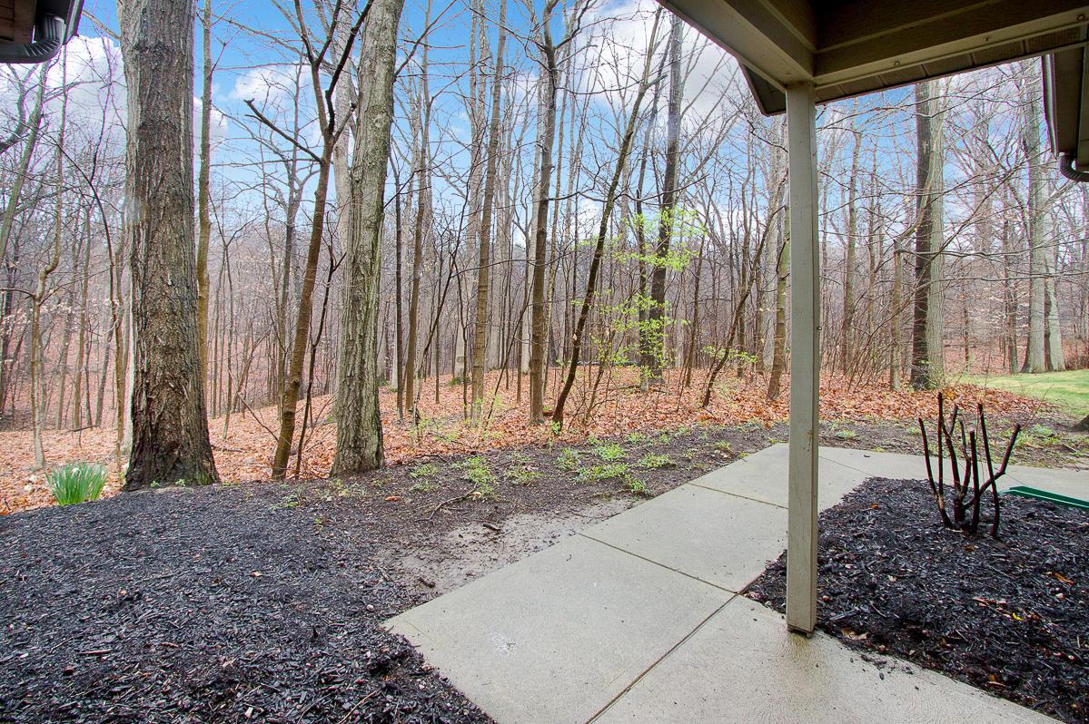 403 Hidden Ravines Drive Powell, OH 43065 - Photo 4 of 31 Gallery Image 4
