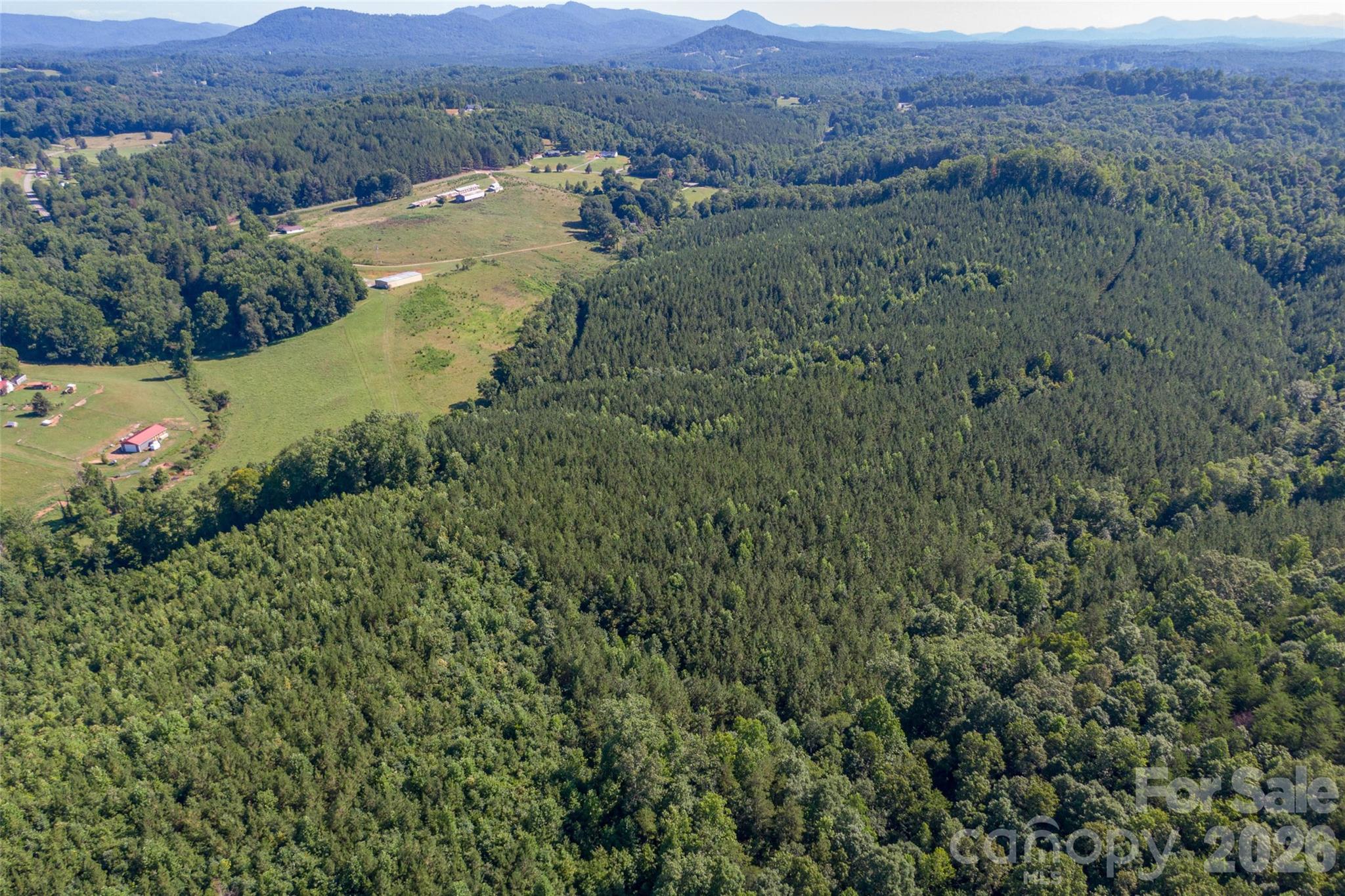 83 Pleasant Grove Road Rutherfordton, NC 28139 - Photo 2 of 26 Gallery Image 2