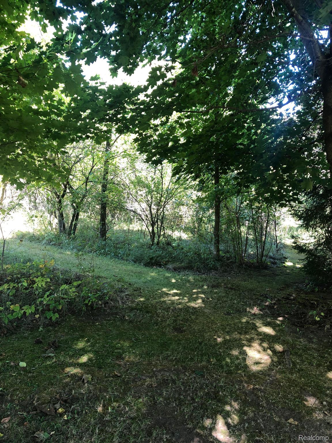 3310 Meridian Road Leslie, MI 49251 - Photo 45 of 49 Mowed paths thru acreage.