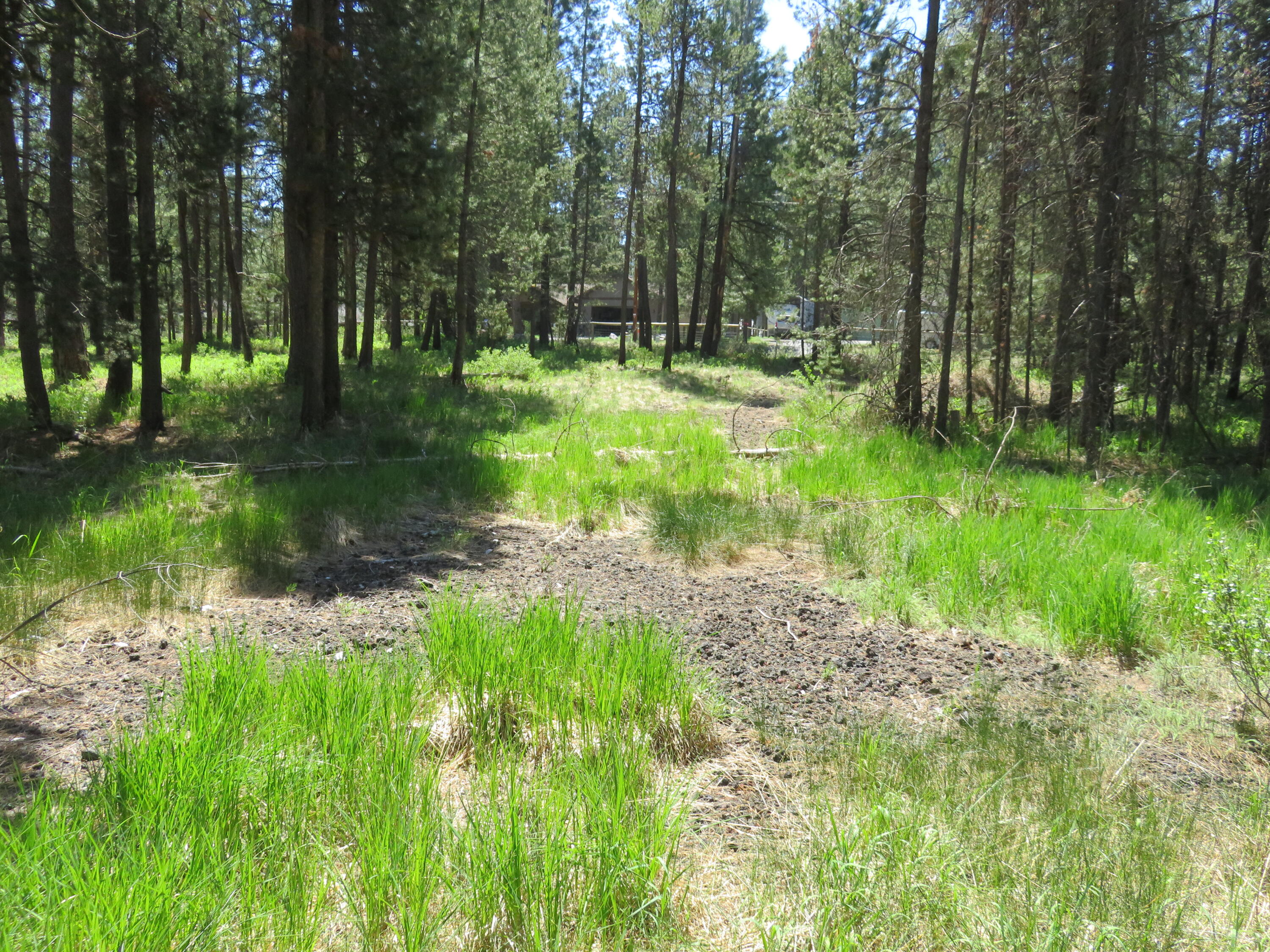 16880 Indio Road Bend, OR 97707 - Photo 7 of 8 IMG_0013